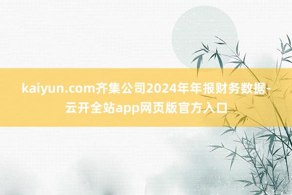 kaiyun.com齐集公司2024年年报财务数据-云开全站app网页版官方入口