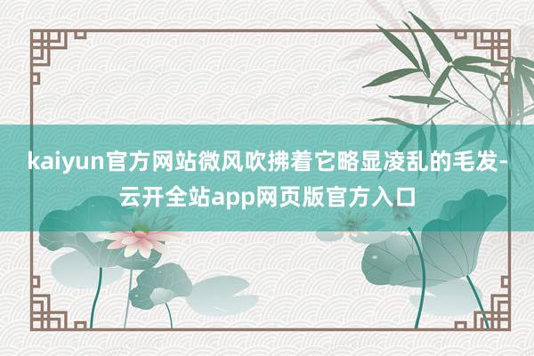 kaiyun官方网站微风吹拂着它略显凌乱的毛发-云开全站app网页版官方入口